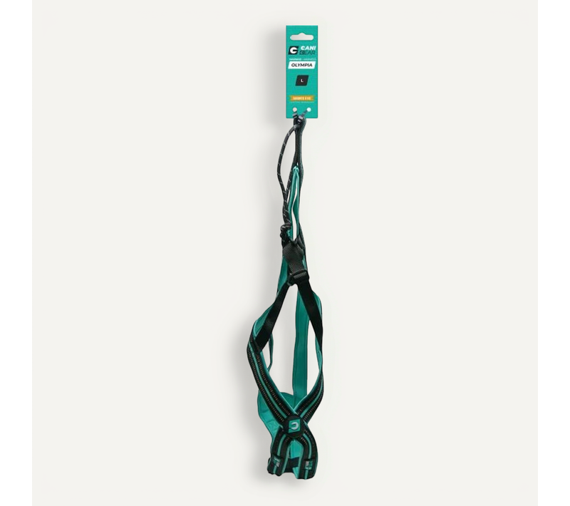 Harnais De Traction Pour Chien - L - Type X-back - Bleu