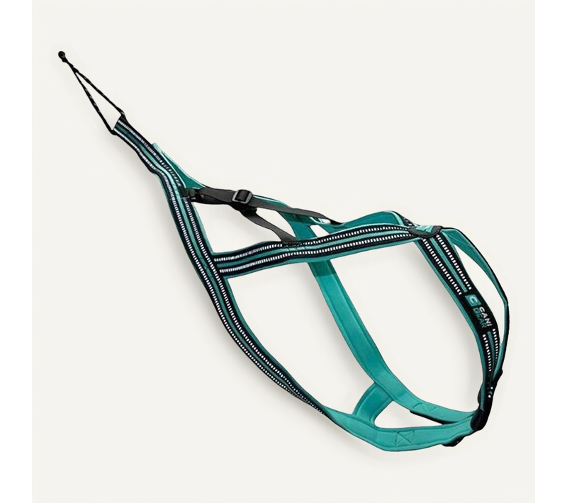 Harnais De Traction Pour Chien - Olympia - XL - Type X-back - Bleu