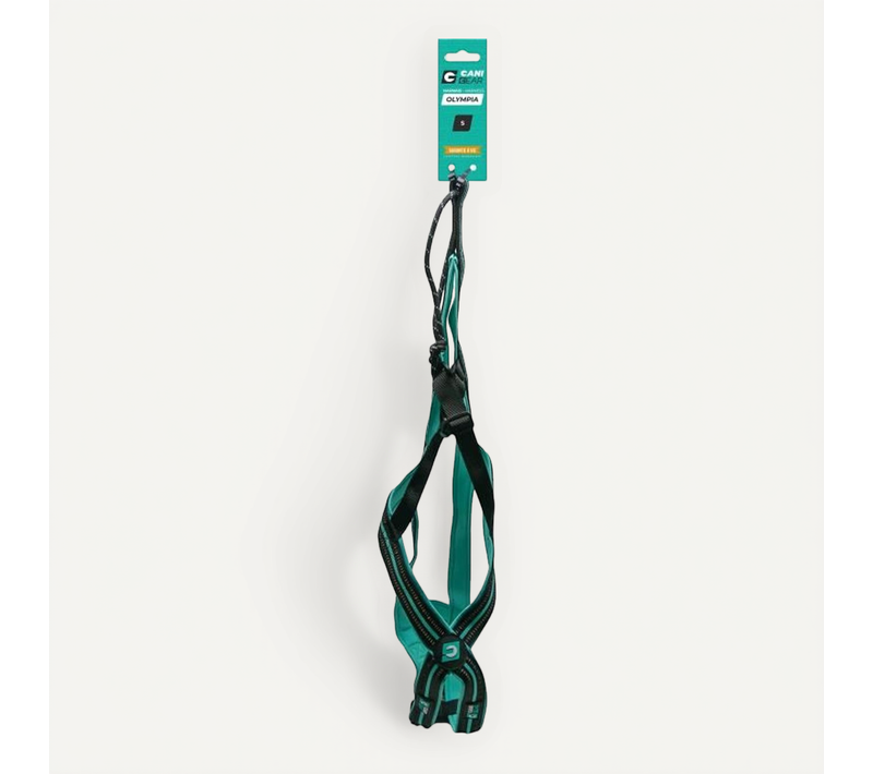 Harnais De Traction Pour Chien - S - Type X-back - Bleu
