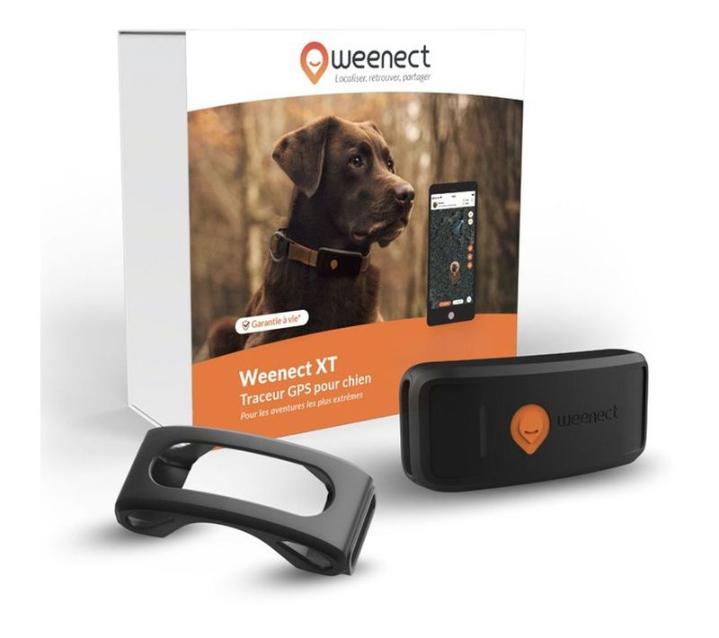 Traceur Gps Chien Clip-on Xt — Antenne Xl, Étanche, Suivi Superlive