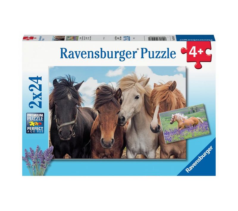 Coffret De Puzzles L'amour Des Chevaux Avec Posters Pour Enfants