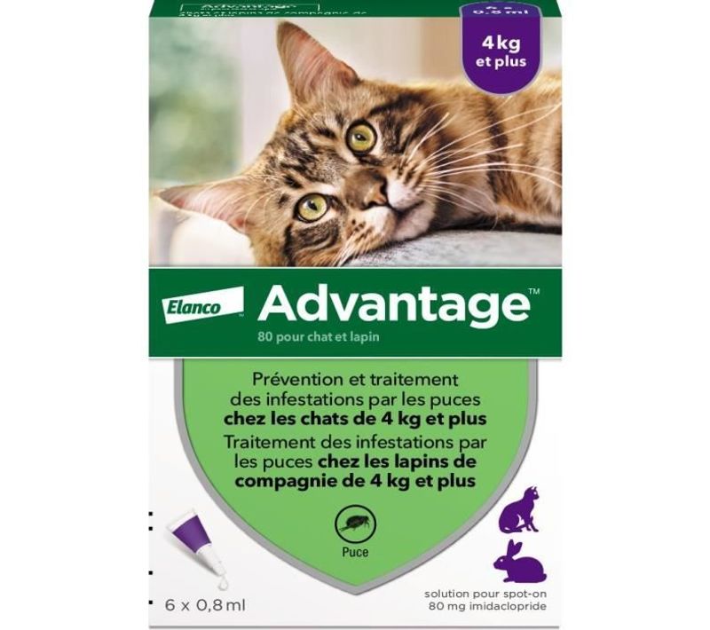 Solution Antipuce Chat Lapin +4kg 6 Pipettes