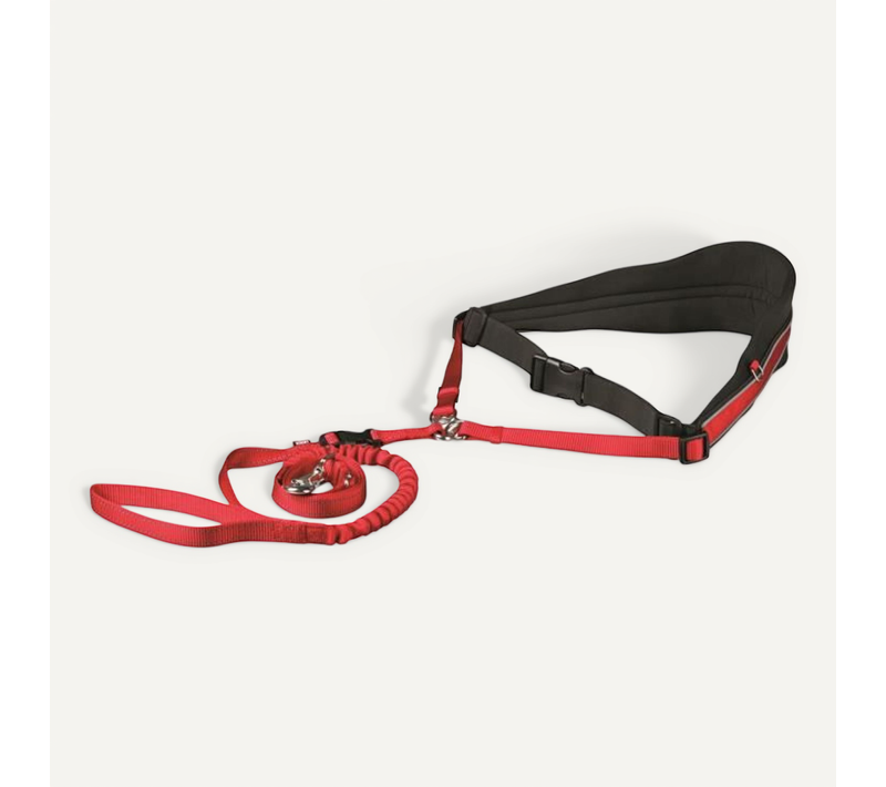 Ceinture Ventrale Avec Laisse Rouge Pour Chien