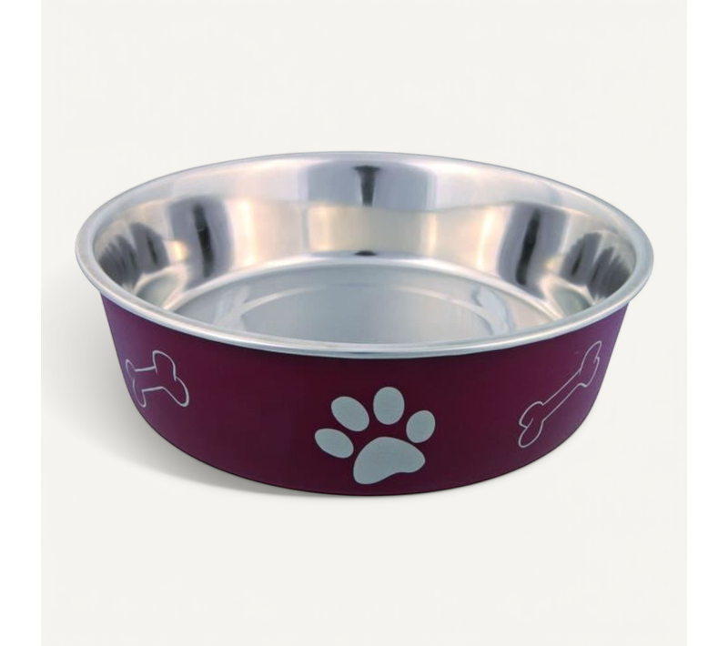 Ecuelle En Acier Inox Pour Chien