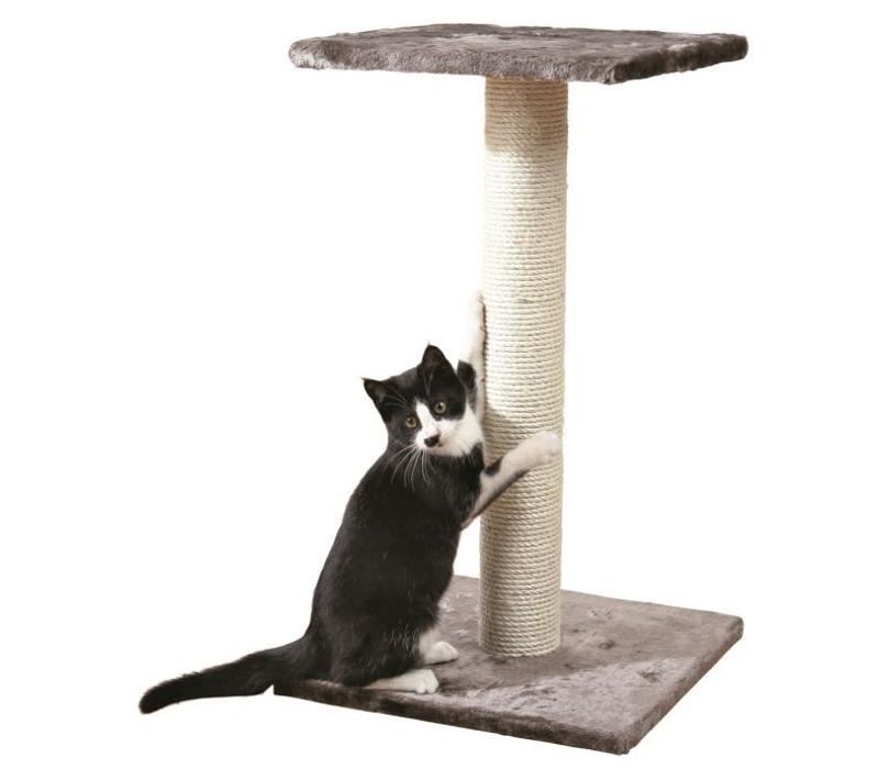 Arbre À Chat Espejo H69 Cm Gris Platinium Et Sisal