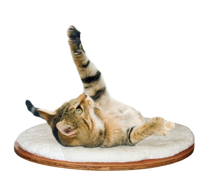 Lit Mural Pour Chats Dolomit 50 X 35 Cm Blanc 81503