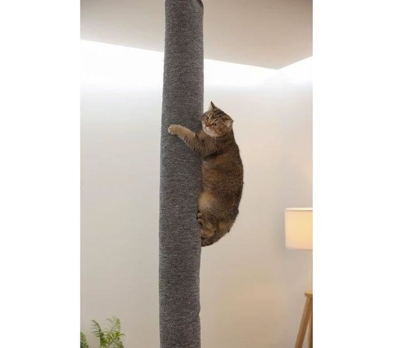 Sac D'escalade Moquette Pour Chat à Fixer Au Plafond 16 X 16 X 240 Cm, Gris