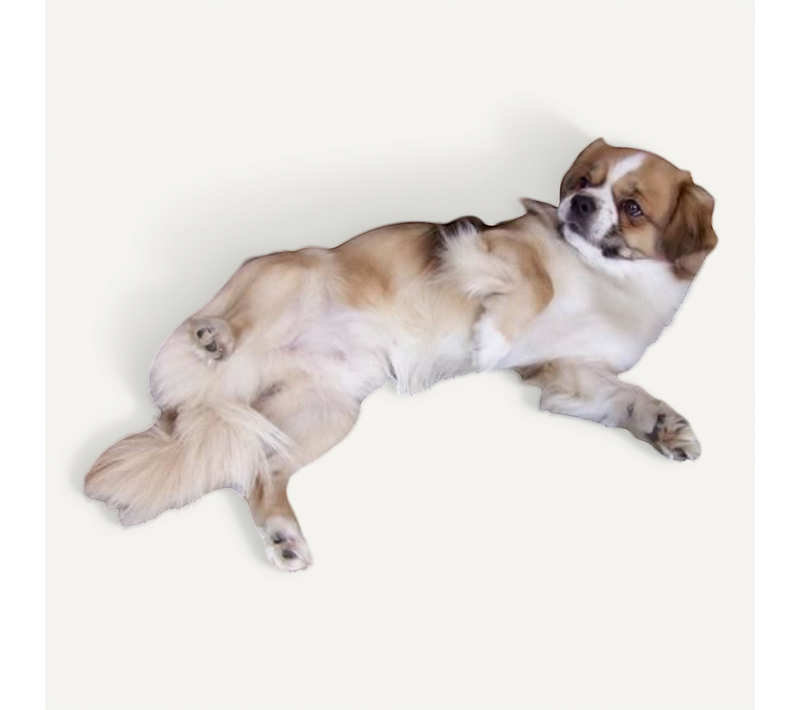 Couchette Pour Chien - 84x51cm