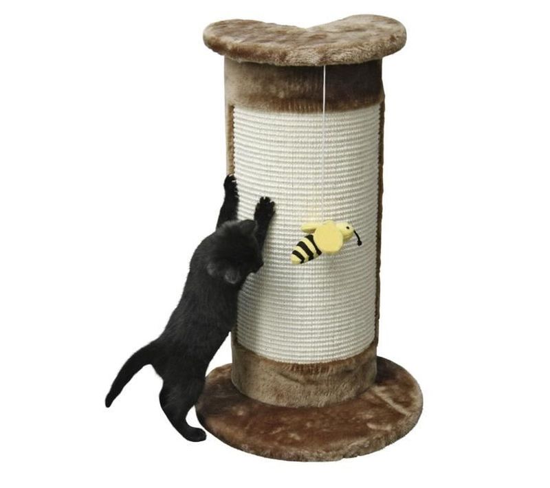 Poteau Griffoir Tronc - Angulaire 58cm - Brun