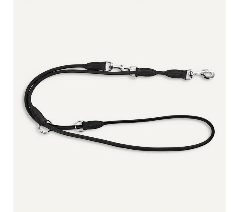 Laisse Pour Chiens Roma 2 M Cuir Noir 81097