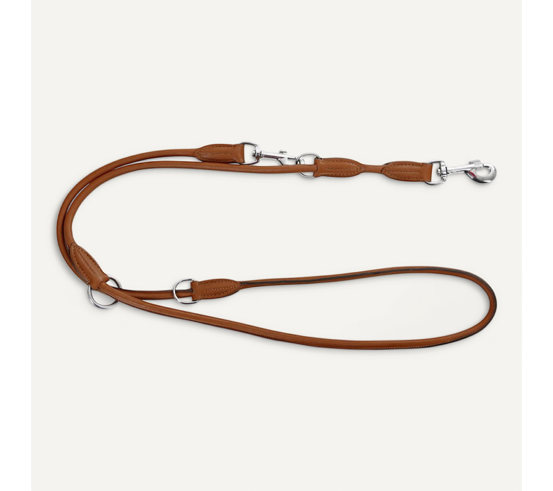 Laisse De Guide Pour Chiens Roma 2 M Cuir Marron 81098