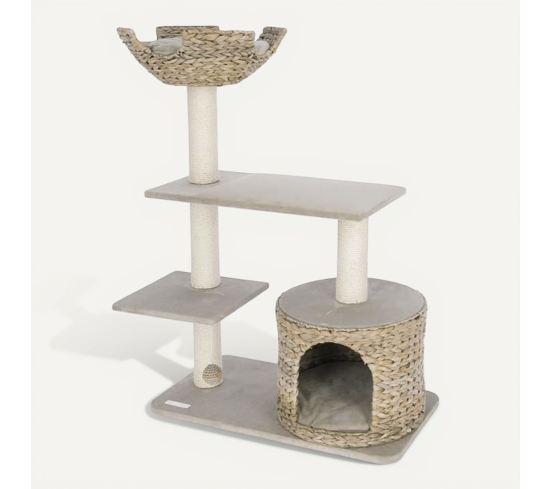 Banana Leaf Jade Arbre A Chat 70x35x100 cm - Beige