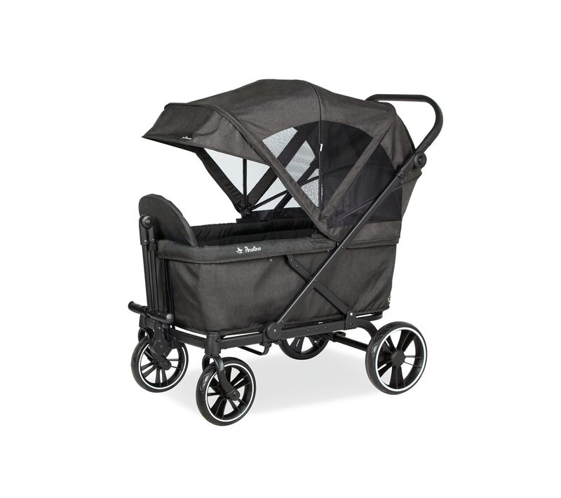 Chariot Pliable « cruiser »