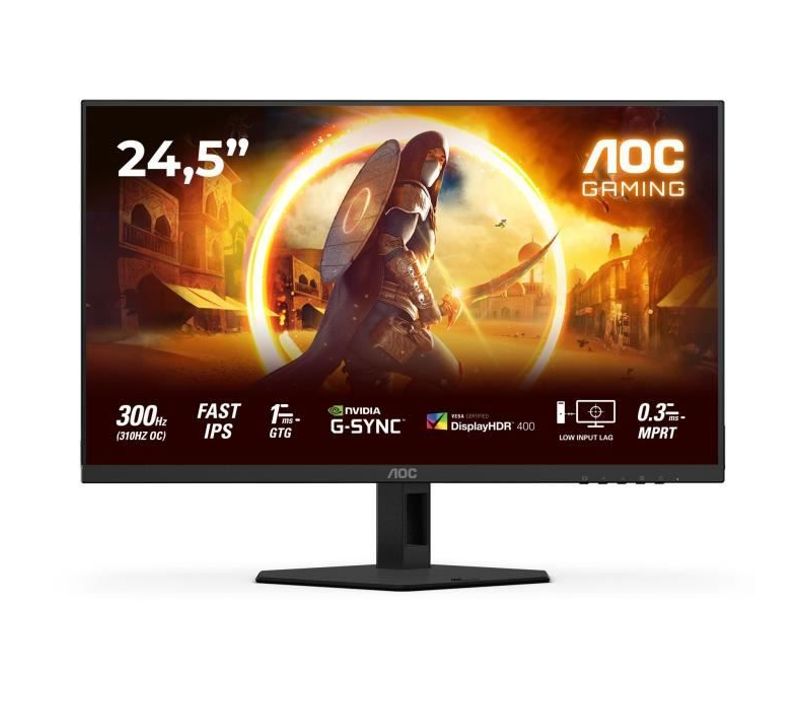 Ecran PC Gamer - Fhd - 24,5'' - 300hz- Fast Ips - 0,3ms - 25g4sre
