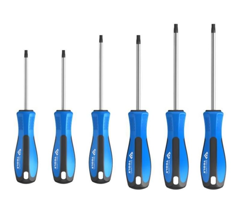 Jeu De Tournevis Torx 6 Pièces