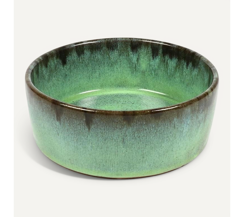 Chien Trendy Mangeoire Jasper Vert 20x20x7,5cm 1,1kg