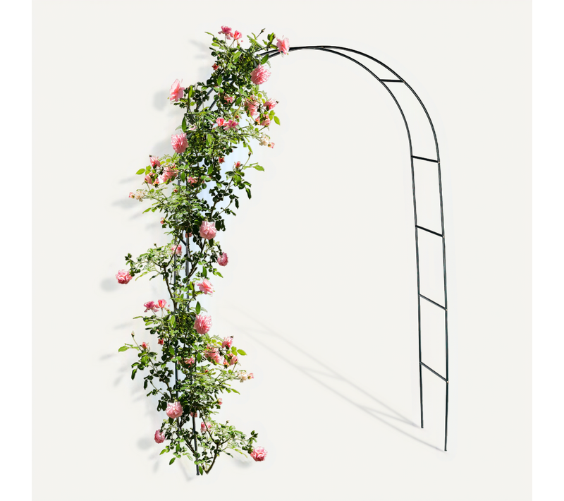 Lot De 4 Arches à Rosiers En Métal