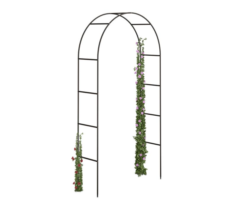 Arche à Rosiers Arceau De Jardin Plantes
