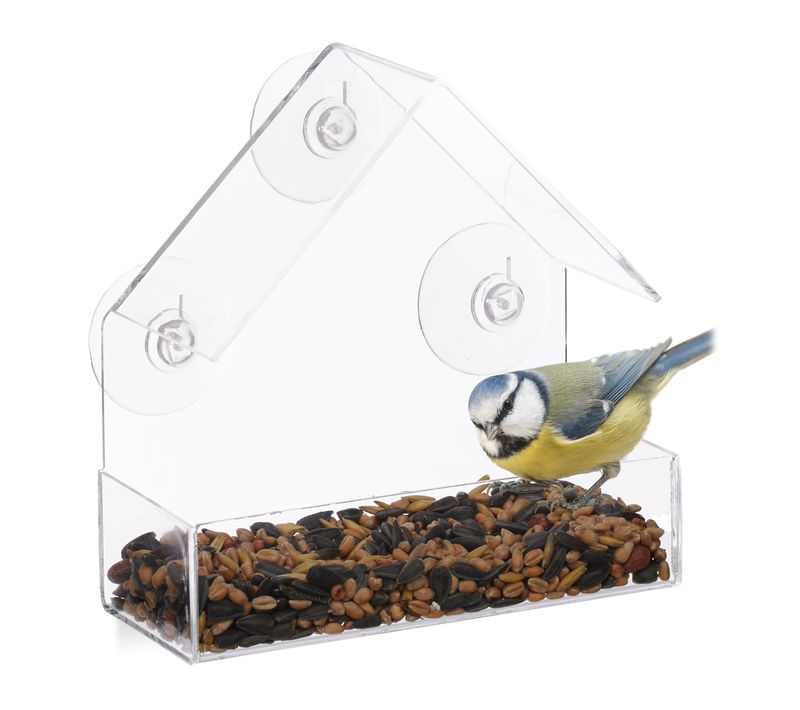 Mangeoire à Oiseaux Pour Fenêtre