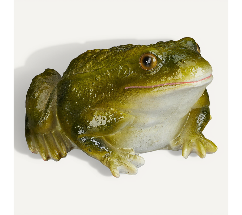 Lot De 4 Statues De Jardin Crapaud