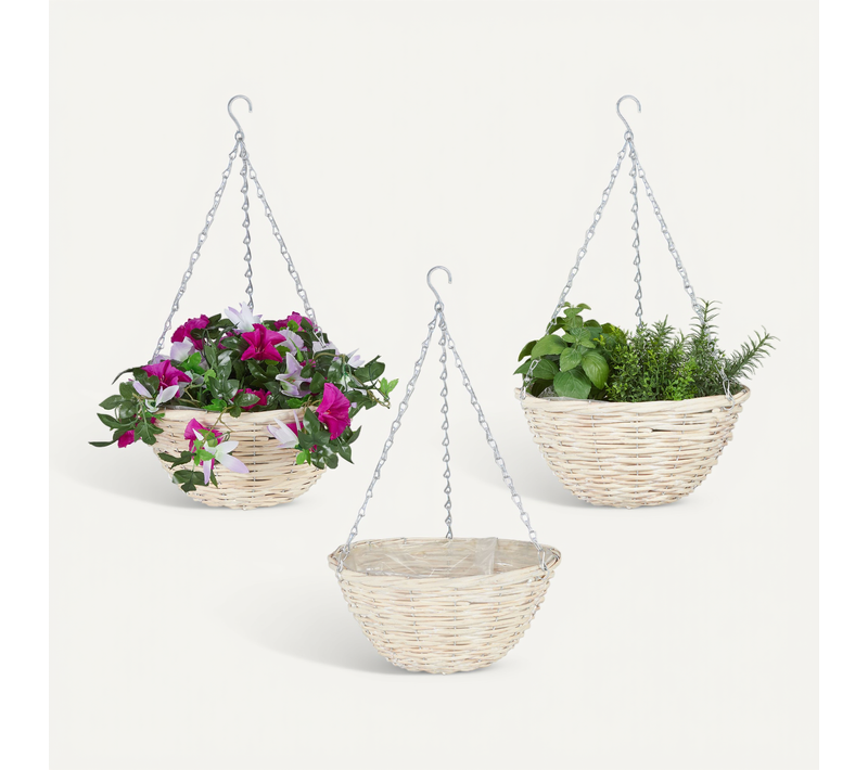 Suspension Pour Plantes En Lot De 3