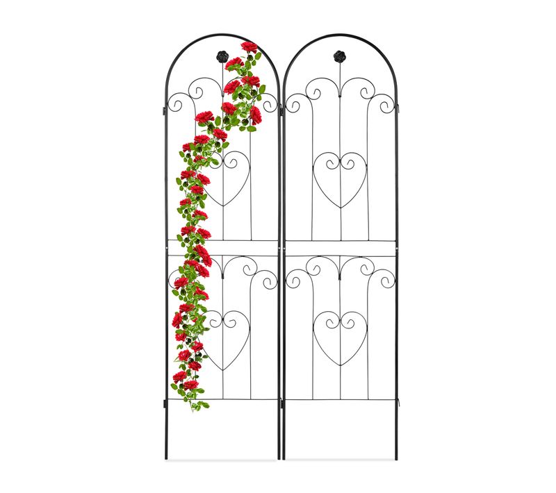 Tuteur à Tomates En Lot De 2