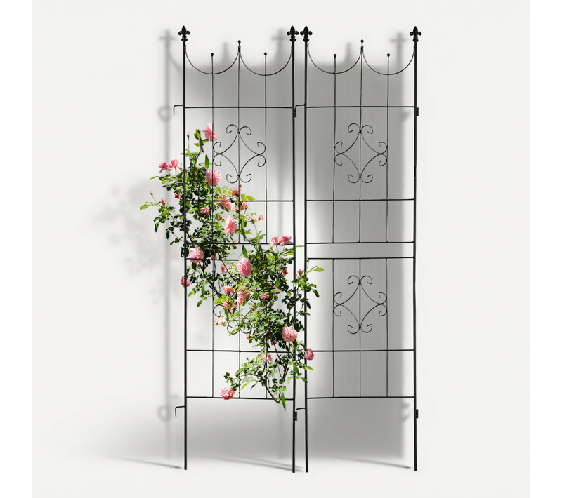 Set De 2 Grilles Tuteur En Métal