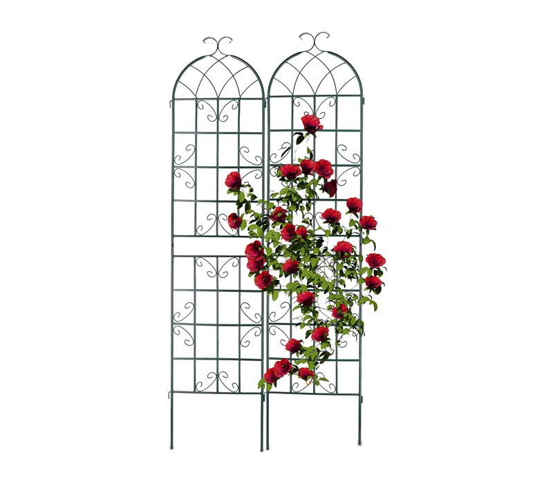 Tuteur à Tomates En Lot De 2