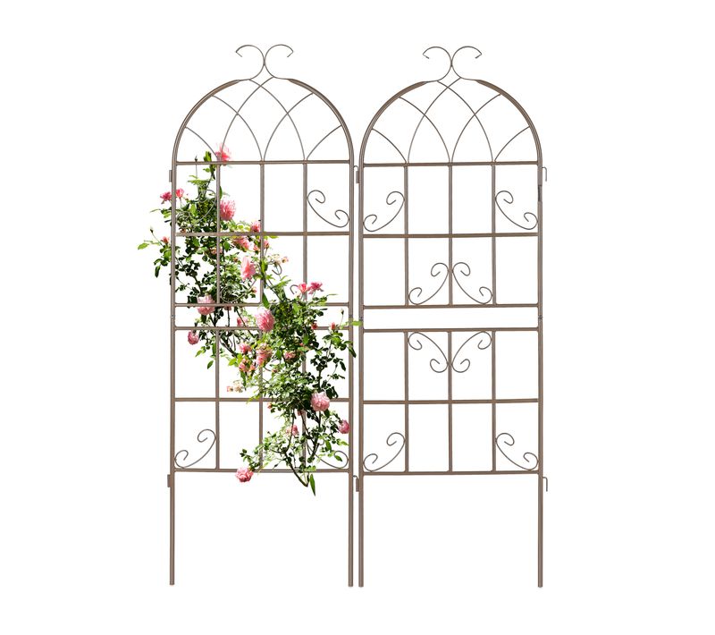 Tuteur à Tomates En Lot De 2