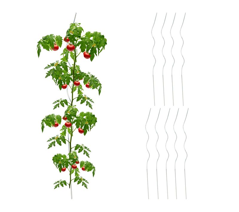 Tuteur à Tomates En Lot De 10