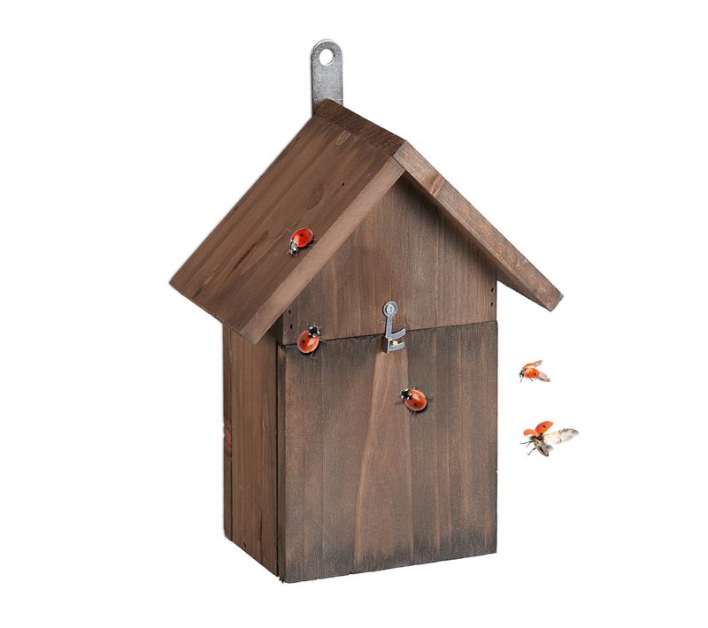Hôtel à Insectes