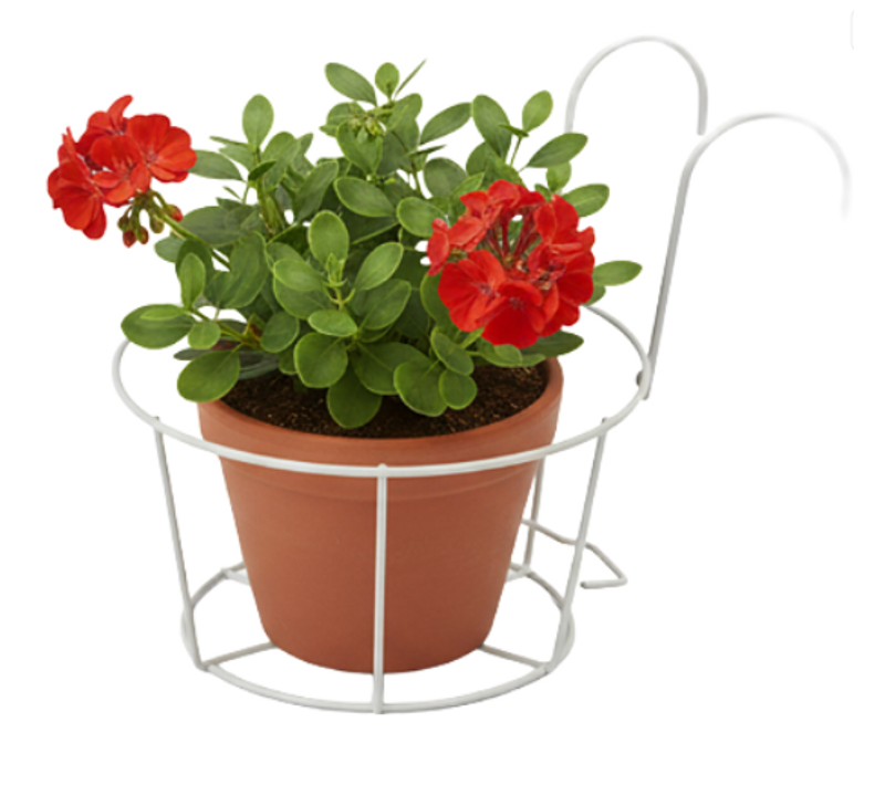 Lot De 4 Porte-pots à Suspendre