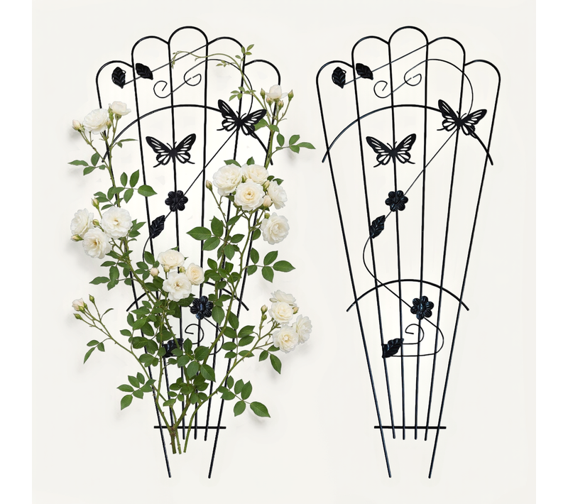 Treillis Papillon, Lot De 2