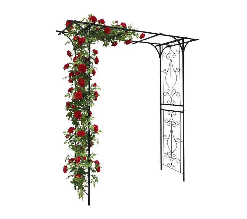 Arche Pour Rosiers En Métal Noir