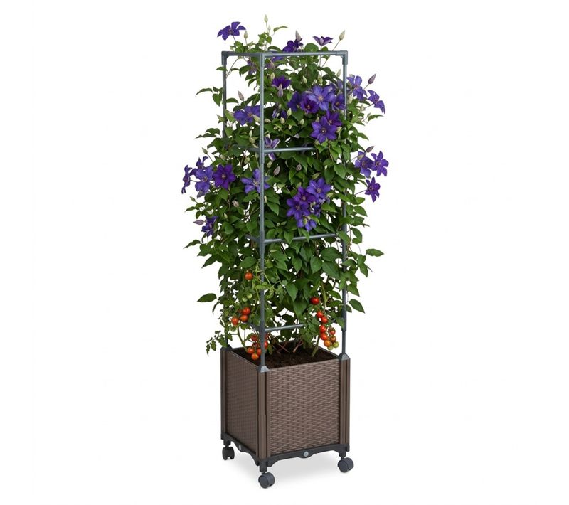 Bac à Plantes Avec Treillis et Roulettes