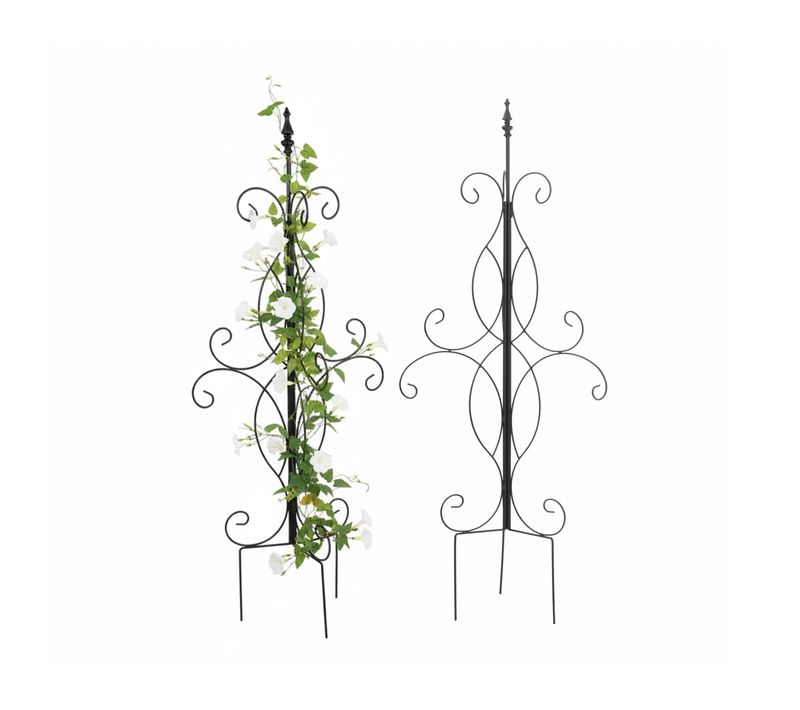 Tuteur Plantes Grimpantes, Autoportant