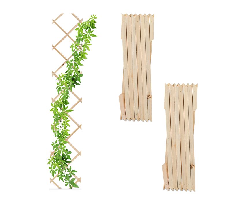 Lot De 3 Tuteurs à Tomates Extensibles