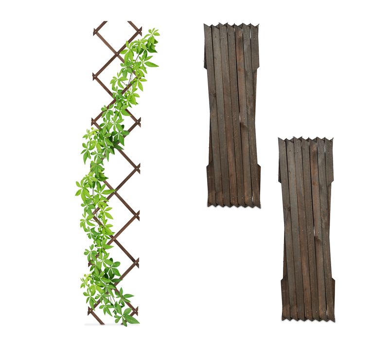 Lot De 3 Tuteurs à Tomates Extensibles