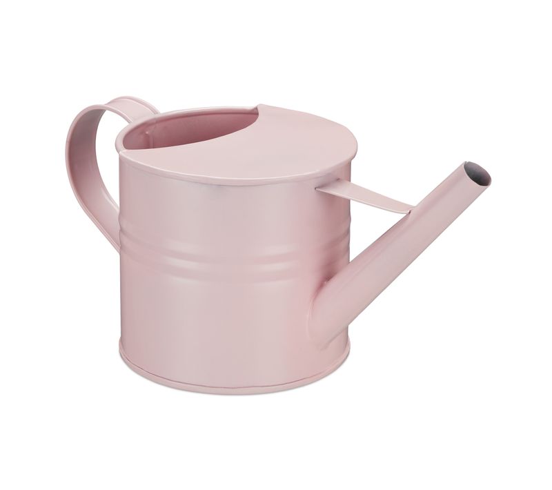 Petit Arrosoir Métal