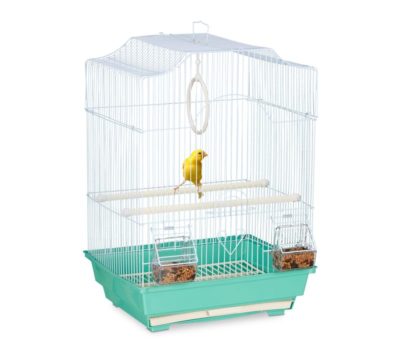 Cage à Oiseaux Avec Perchoirs
