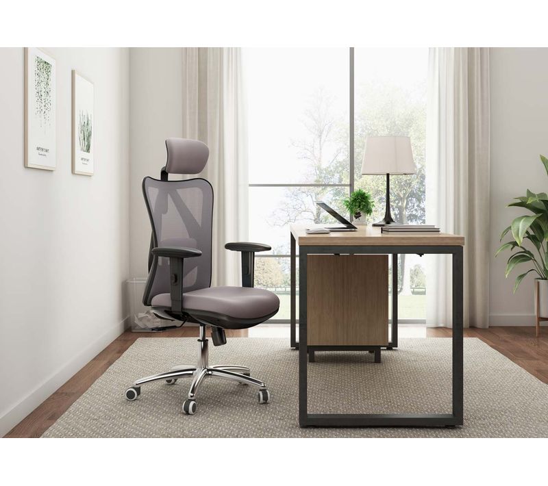 Chaise De Bureau Sihoo Charge Max. 150kg Sans Repose-pieds, Gris