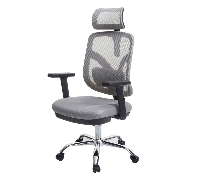 Sihoo Chaise De Bureau Ergonomique Soutien Lombaire Réglable Et Accoudoir Gris