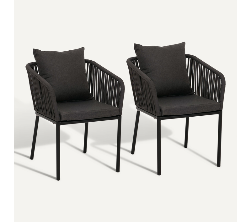 Lot De 2 Chaises De Jardin Hwc-n41 Anthracite, Coussin Gris Foncé