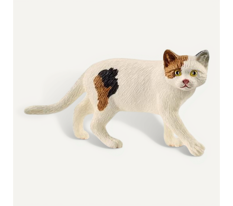 Schleich - Figurine Chat Américain Shorthair