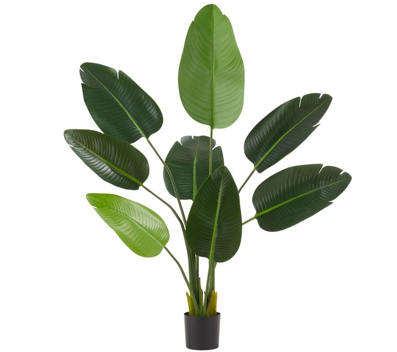 Arbre Oiseau Du Paradis Avec Feuilles Peva Écologiques 120cm