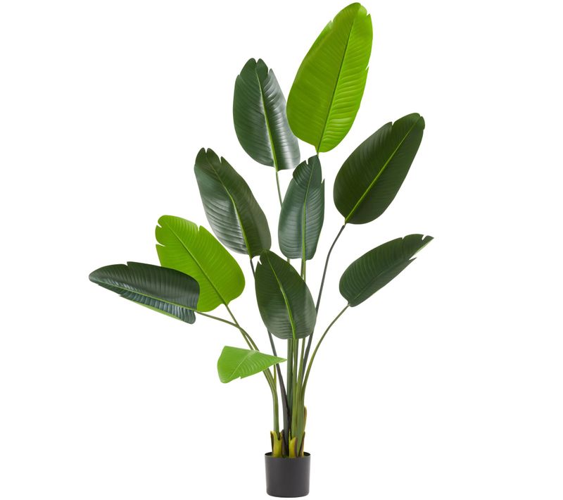 Arbre Oiseau Du Paradis Avec Feuilles Peva Écologiques 160cm