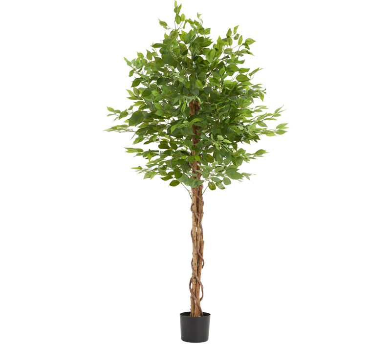Ficus Artificiel Fida En Polyéthylène Vert