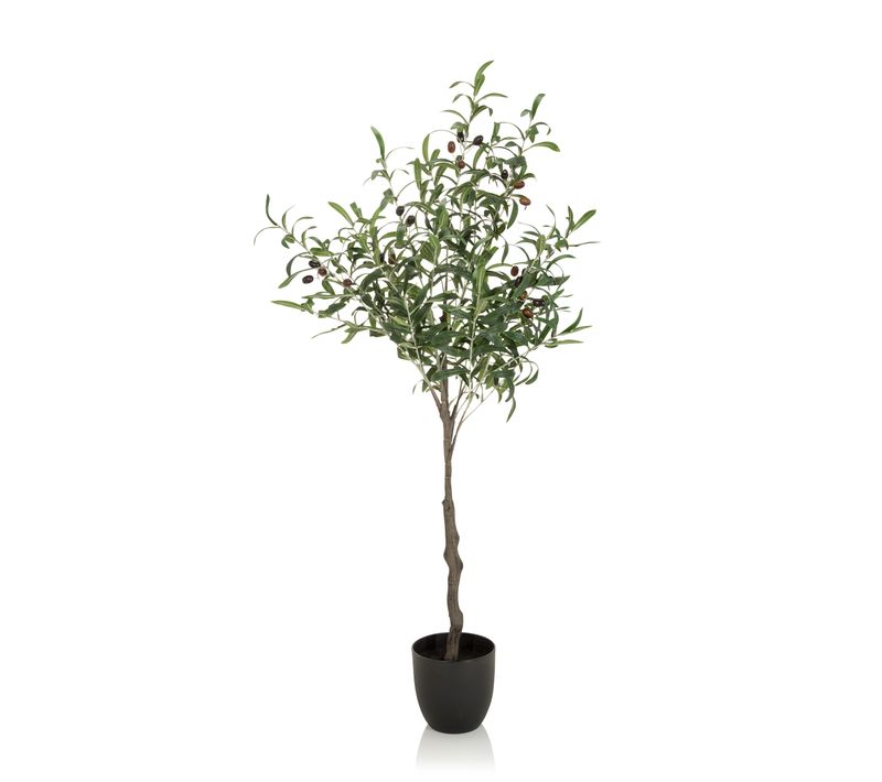 Plante Artificielle Olive H 120.00 Cm Vert