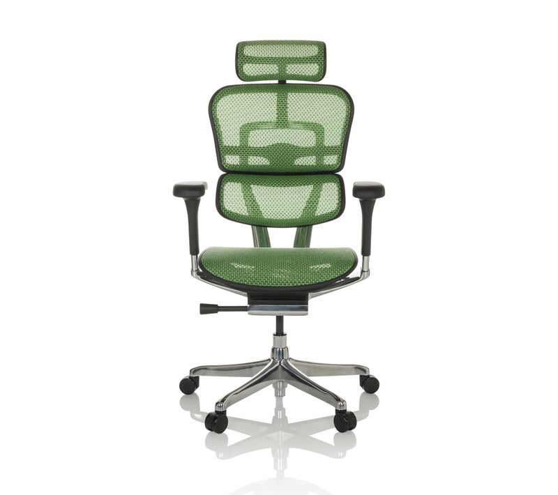 Siège De Direction De Luxe Ergohuman Gen2 Tissu Maille Vert Avec Accoudoirs (réglables En Hauteur)