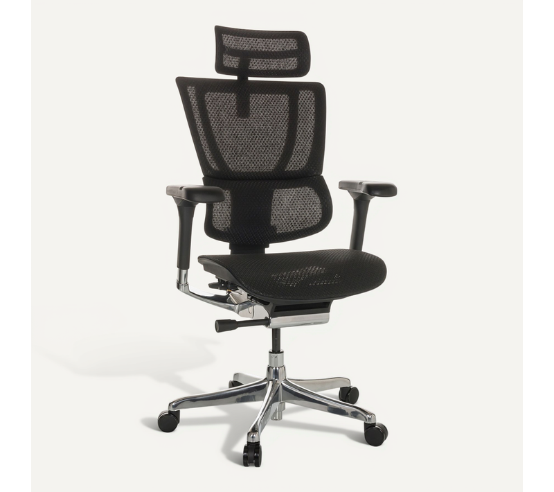 Siège De Direction De Luxe Ergohuman Slim Gen2 Tissu Maille Noir Avec Accoudoirs (réglables En